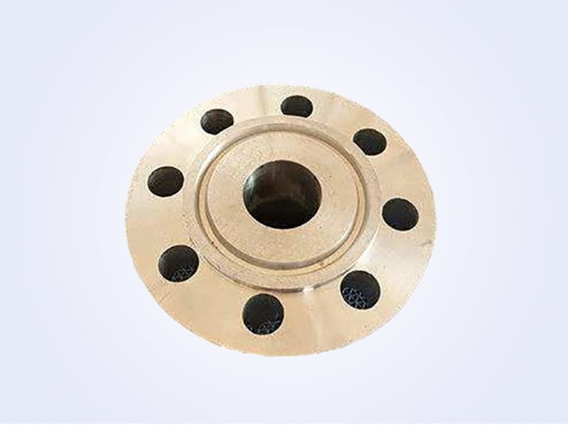 Socket Weld Flange - 承插法兰 (9)