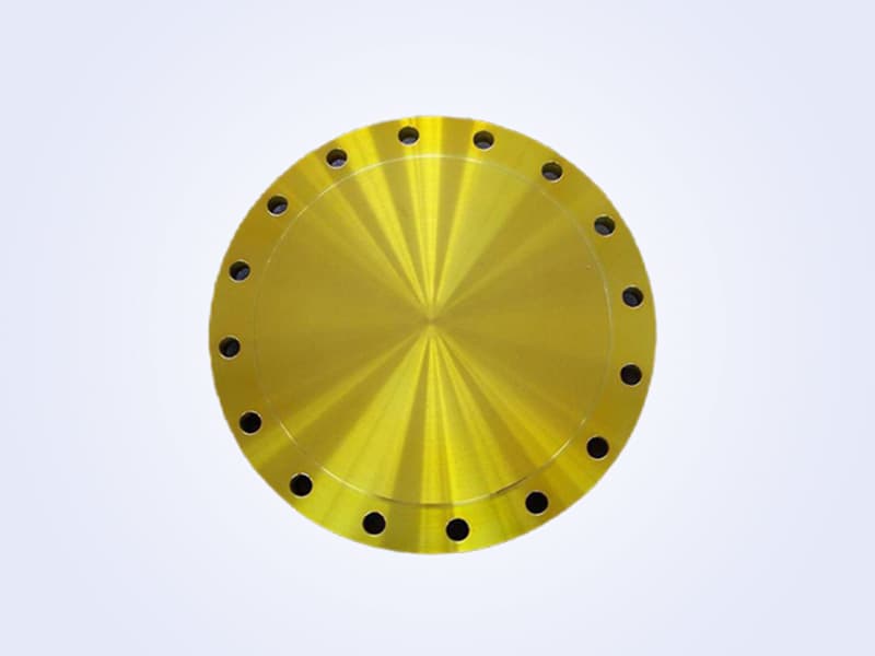 Forged Flange - 法兰 (3)