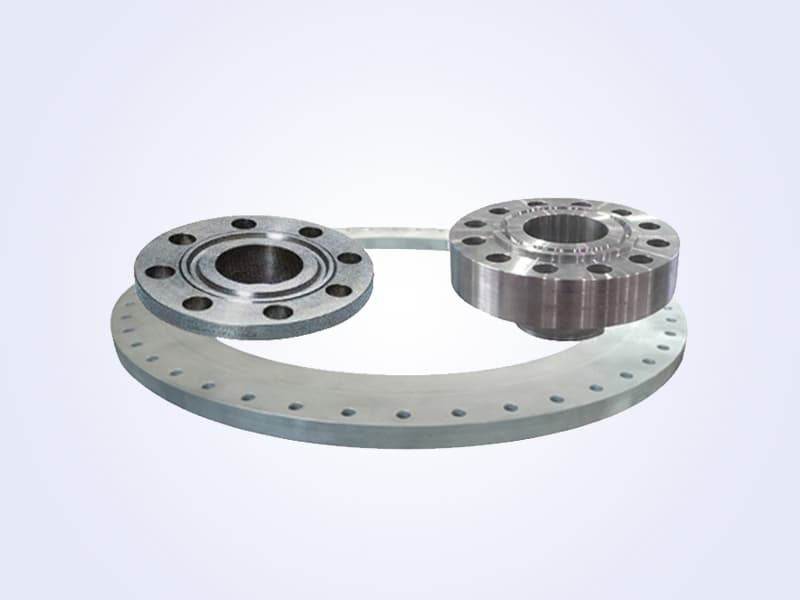 Forged Flange - 法兰 (4)