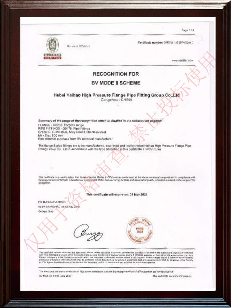 Bureau Veritas Certificate