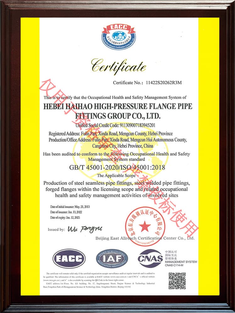 ISO 45001 OH&S (EN)
