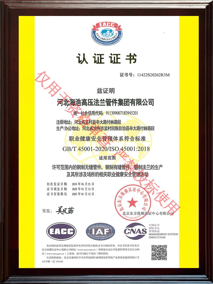 ISO 45001 OH&S (CN)